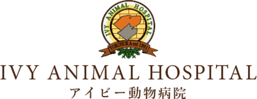 アイビー動物病院